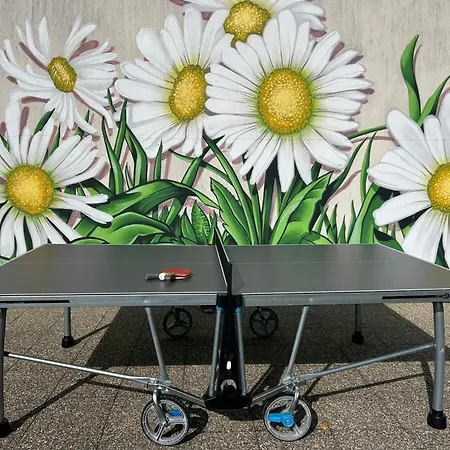 Les Marguerites Et De Nage * Contrexéville